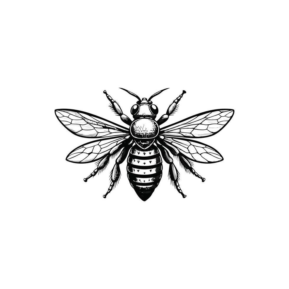 bee on white background simple minimalist vector