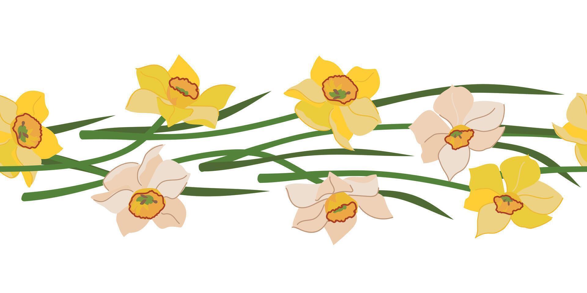Seamless border of daffodils isolated on white background. Yellow and white spring flowers, Mother's Day gift. Colorful flat style illustration for wedding decoration. vector