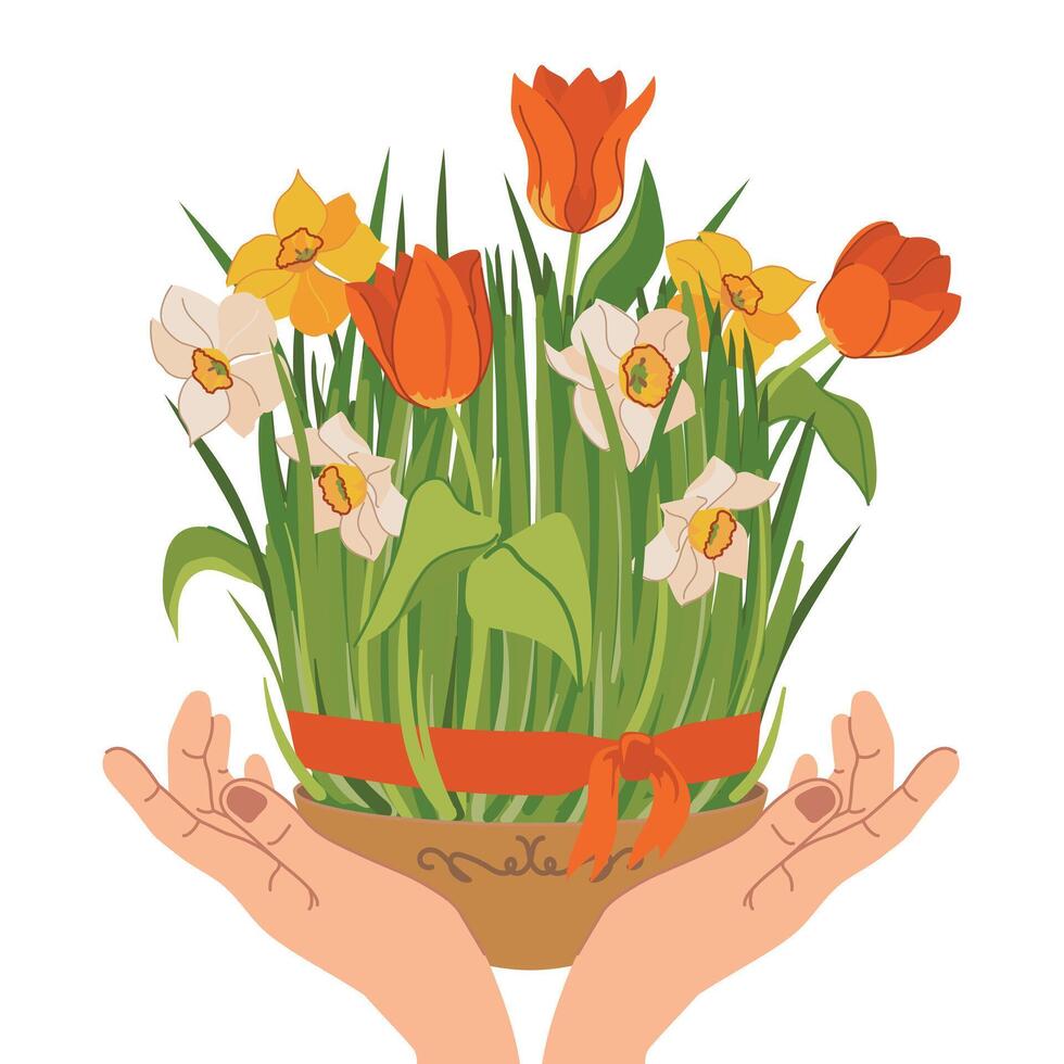 Green grass symbolizes the spring holiday of Novruz. It symbolizes the awakening of nature with spring flowers of tulips and daffodils. A plate with wheat sprouts in hands. Navruz in Azerbaijan, Iran vector