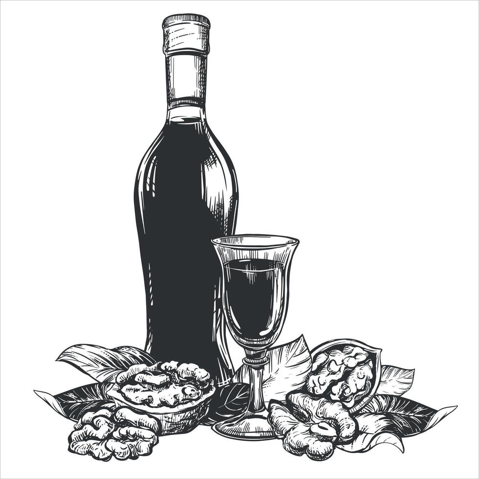 Walnut liqueur in engraving technique. Ripe walnut seeds whole and halves and leaves. Bottle of walnut liqueur, glass with aperitif. Linear sketch in black ink on white background. vector