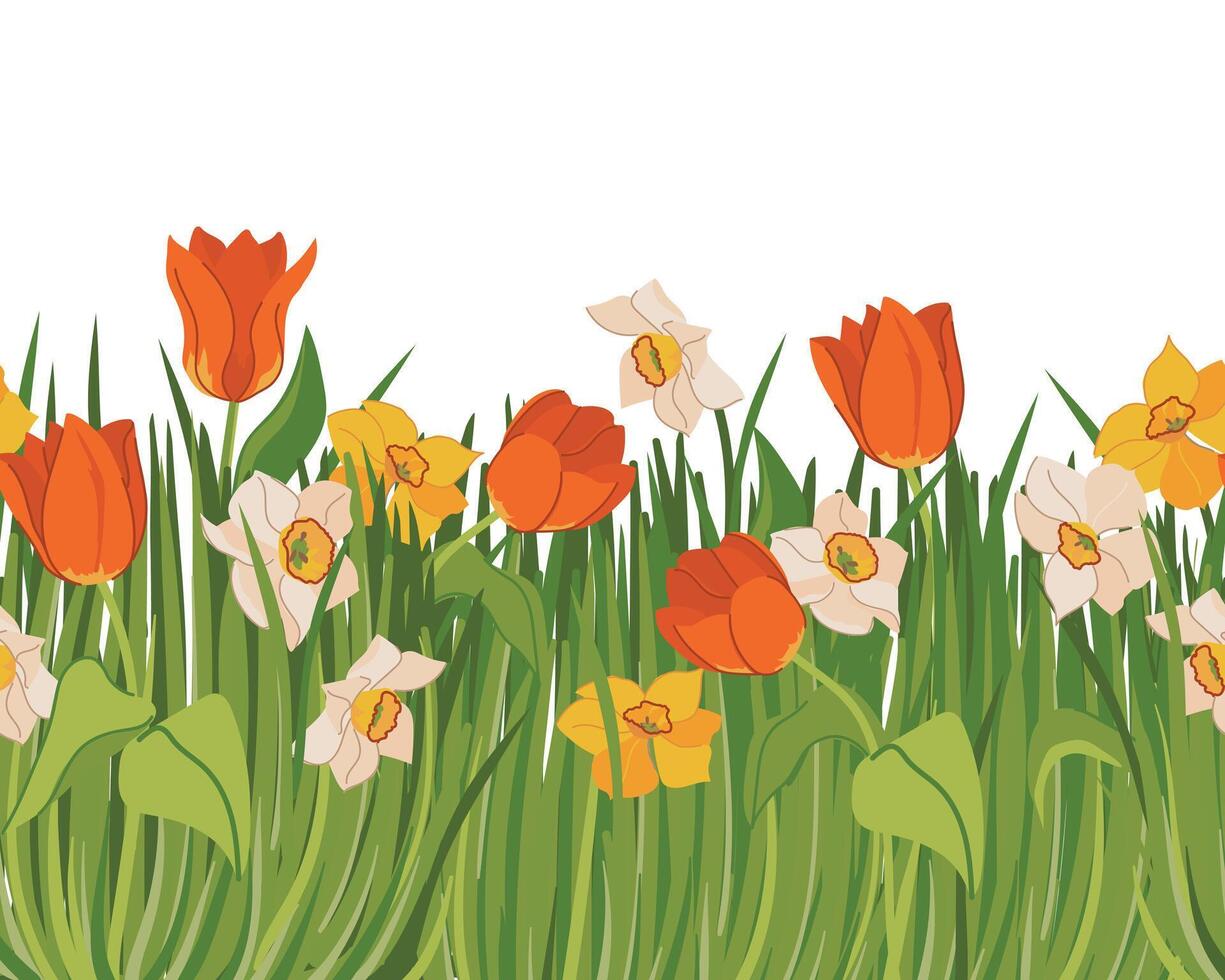 seamless pattern with spring flowers and green grass. Red tulips, yellow and white daffodils on the meadow. Cartoon style clipart. vector