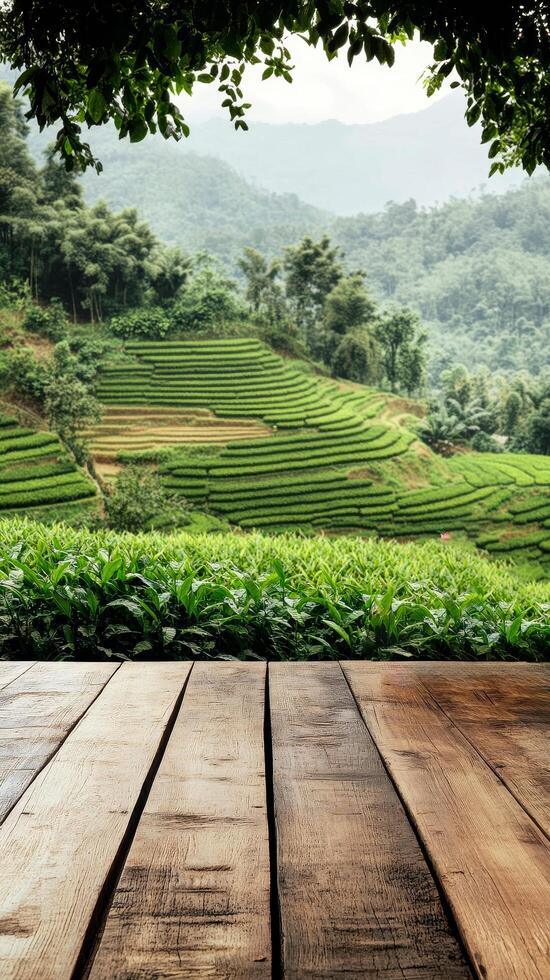 Wooden empty tabletop and green tea field in the morning in Asia, vertical photo