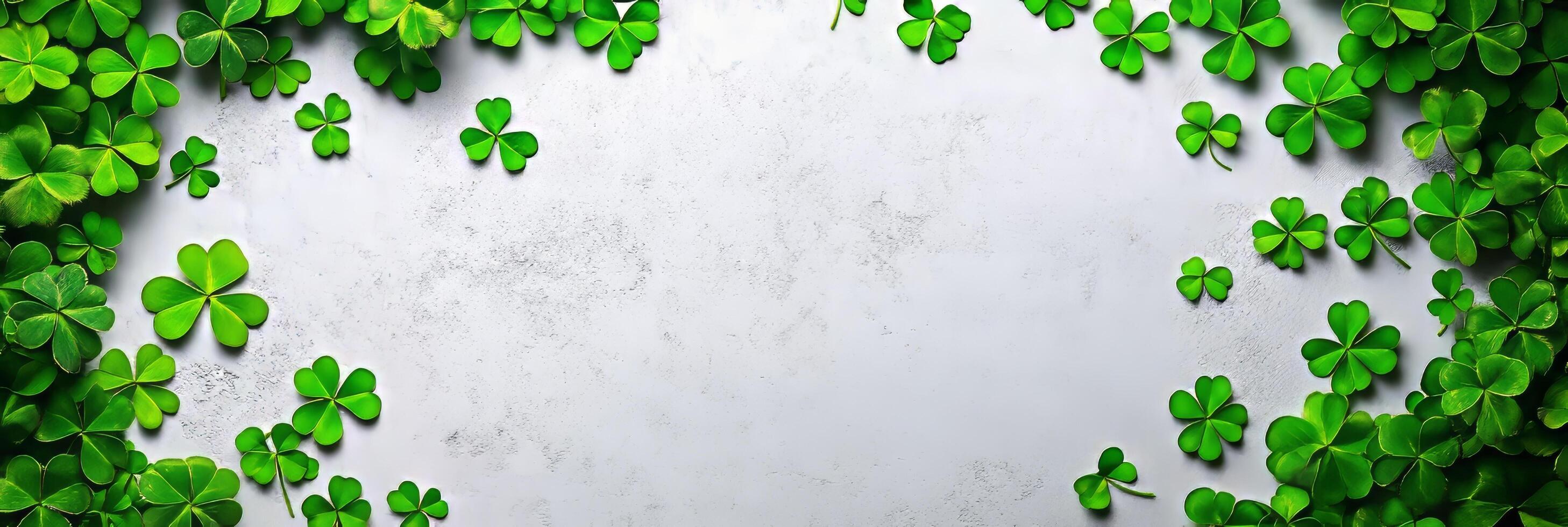 Banner St. Patrick's Day background with green clover leaves. Top view with copy space for text photo