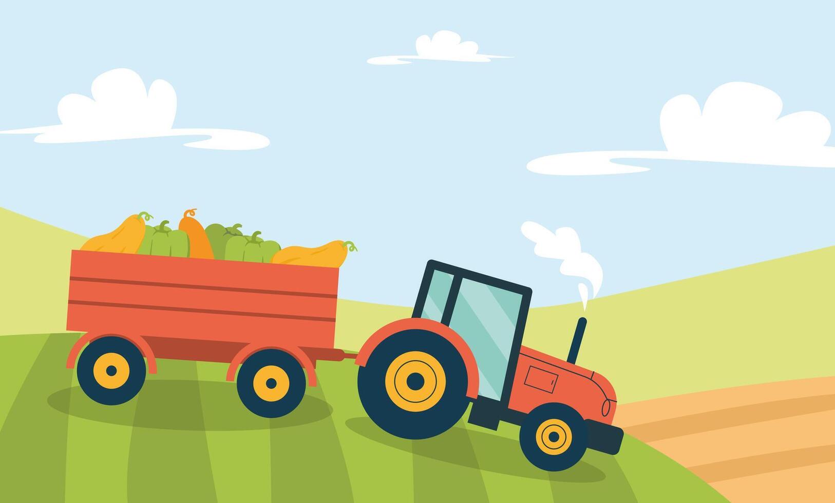 Tractor with Trailer of Vegetables Drives on Field vector