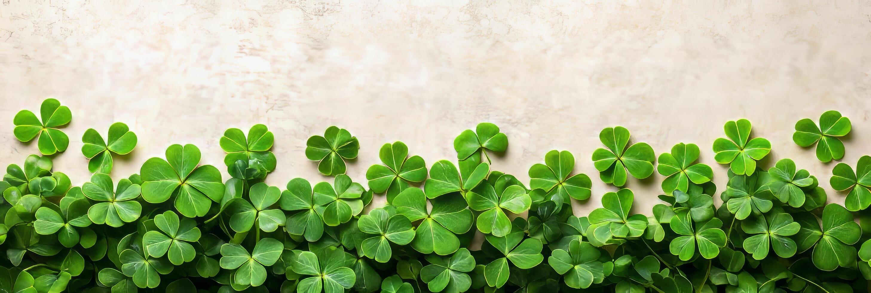 Banner with green clover leaves on stone background. St.Patrick's Day with copy space for text photo