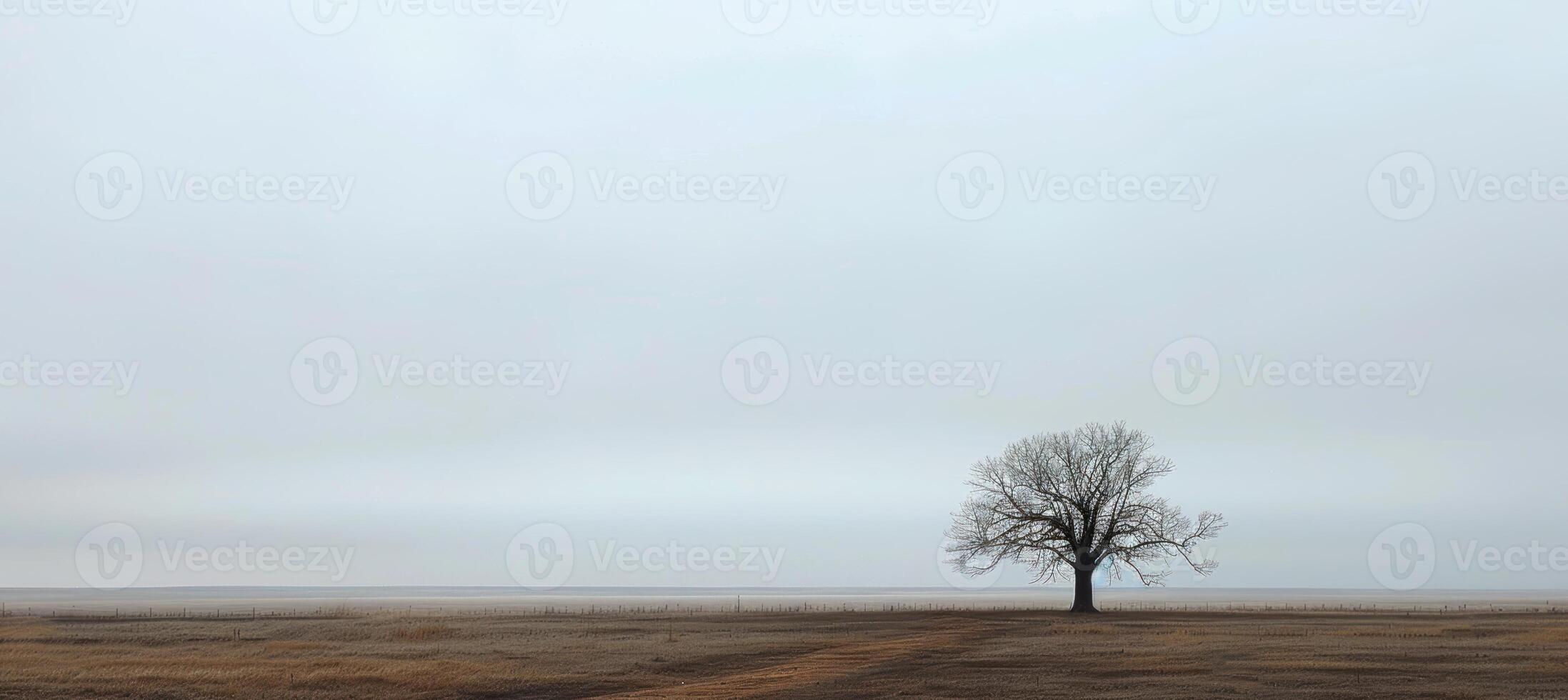 Solitary Tree in Minimalist Landscape Under Overcast Sky for Design and Print photo