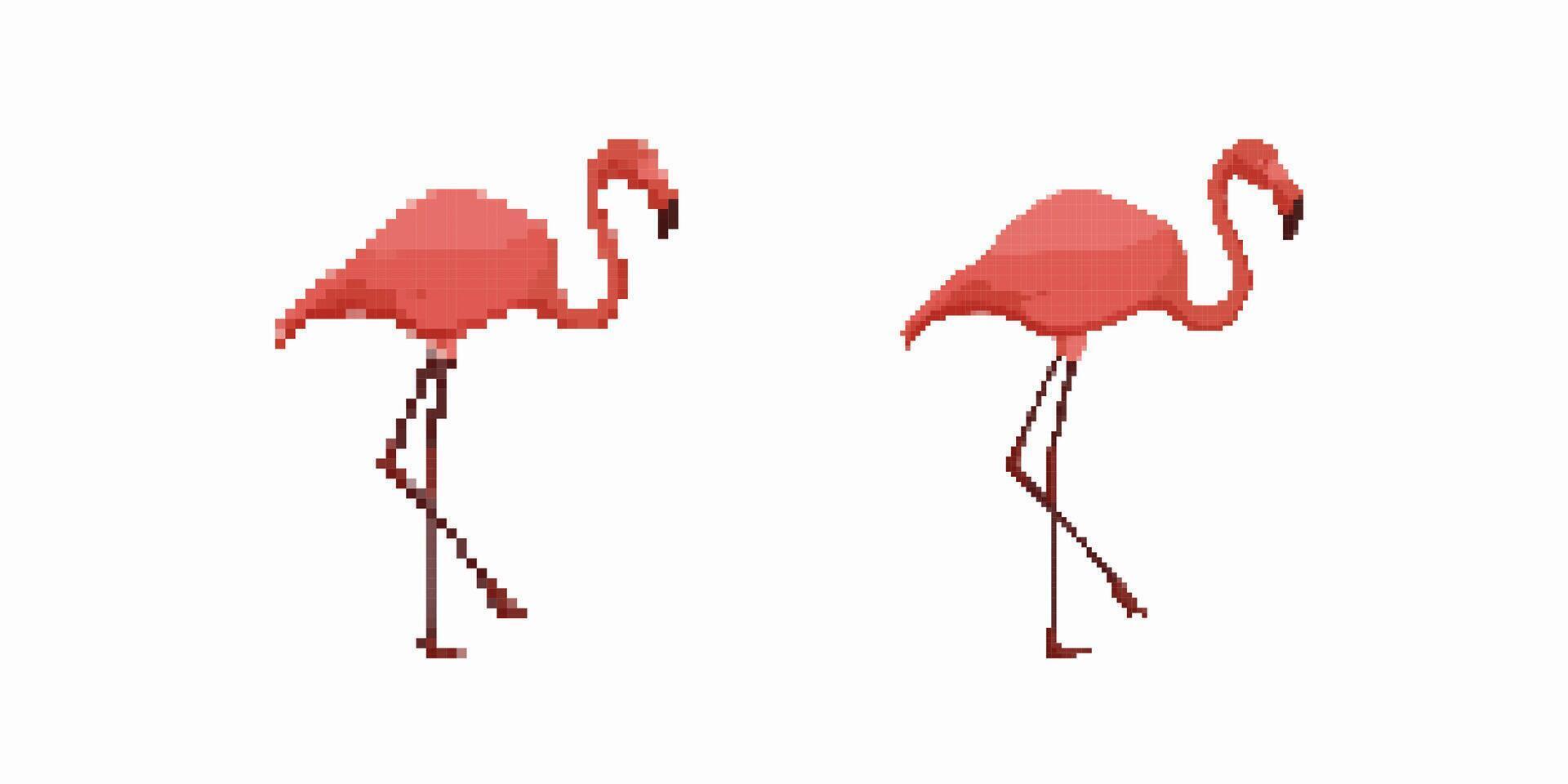 Pixel art flamingos walking side by side in minimalist style illustration vector
