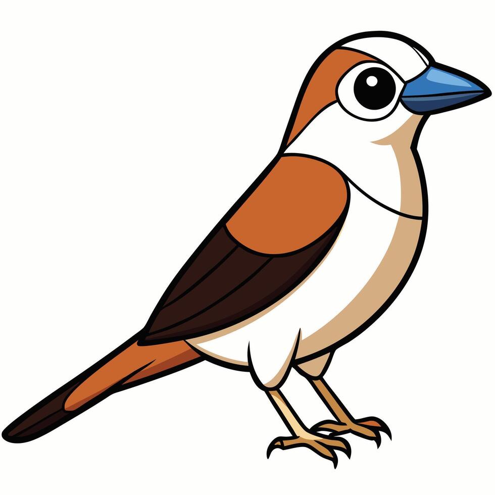 A cartoon bird with a white and brown body vector
