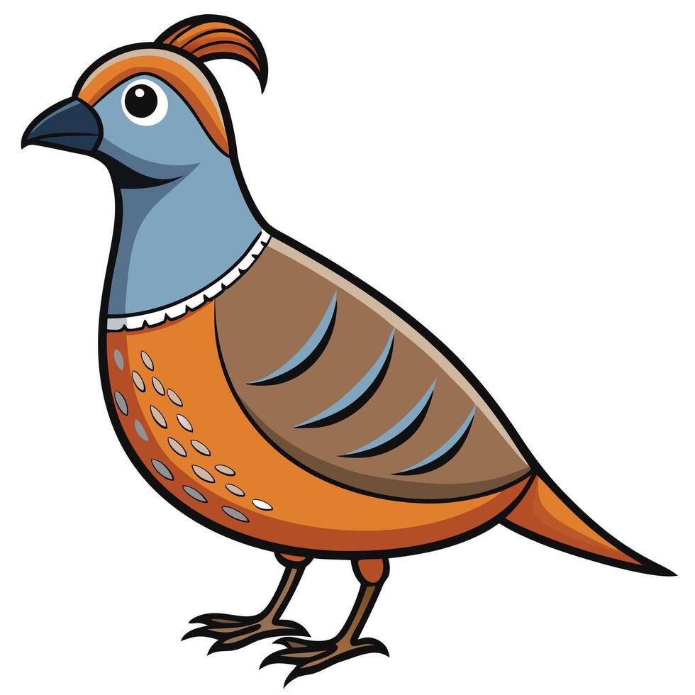 Partridge cartoon illustration vector