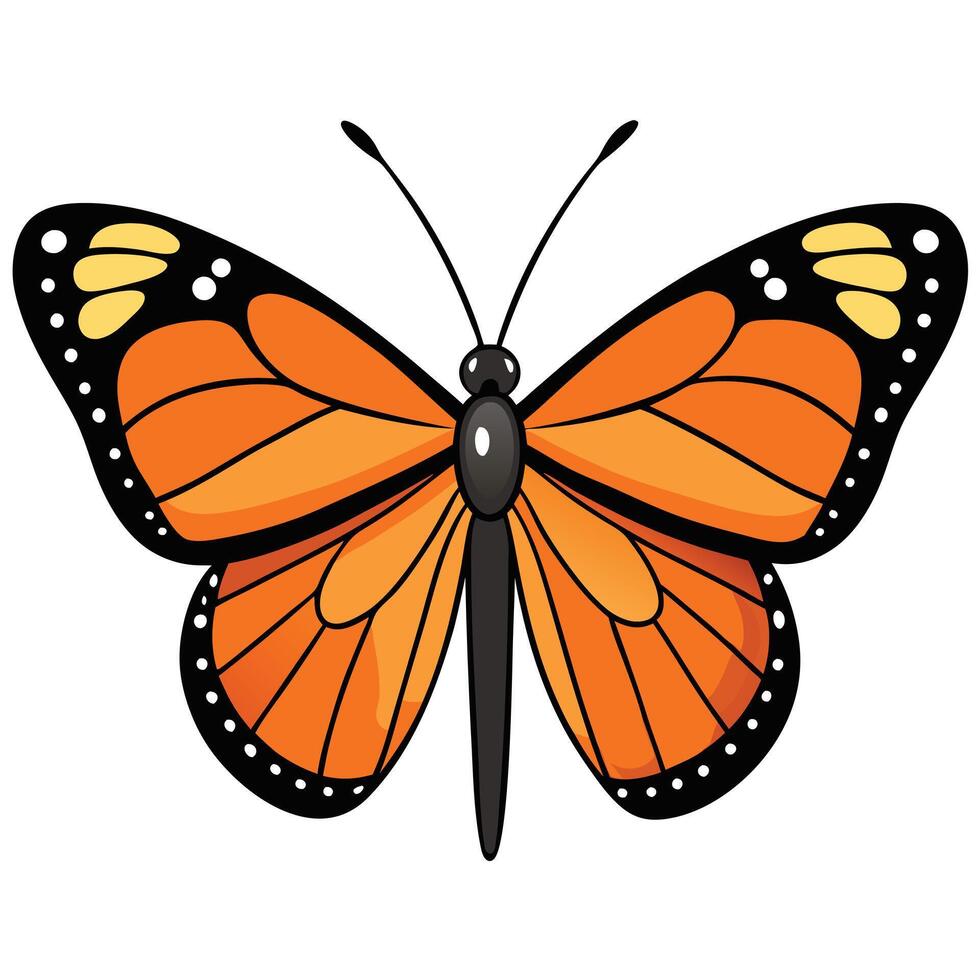 Butterfly Design for Website Graphics vector