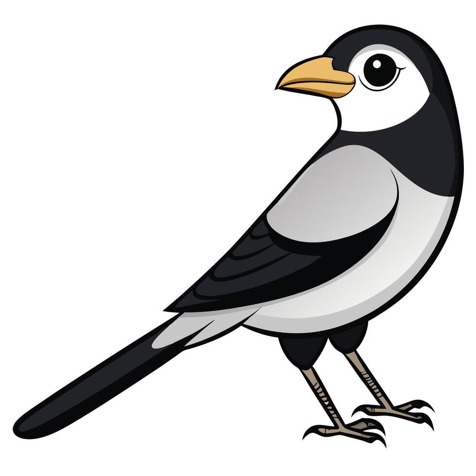 Magpie clip art illustration vector