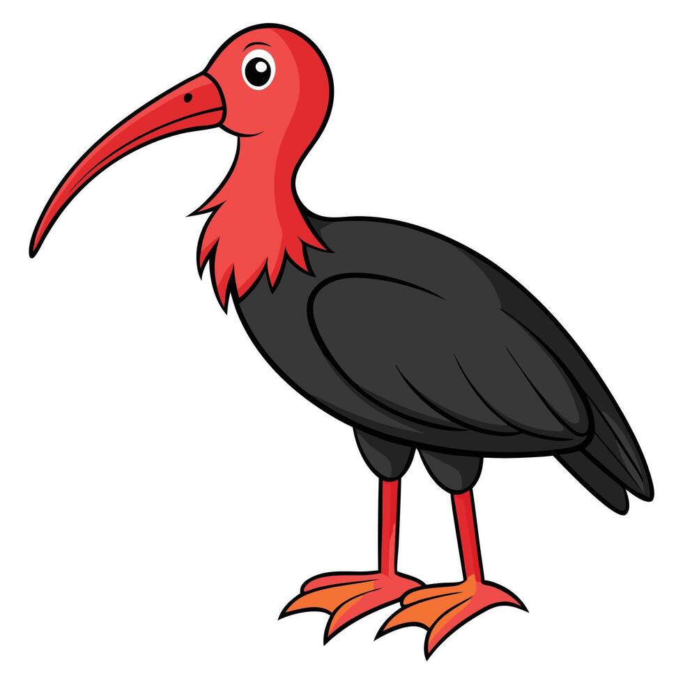 A cartoon bird with red beak and long legs vector