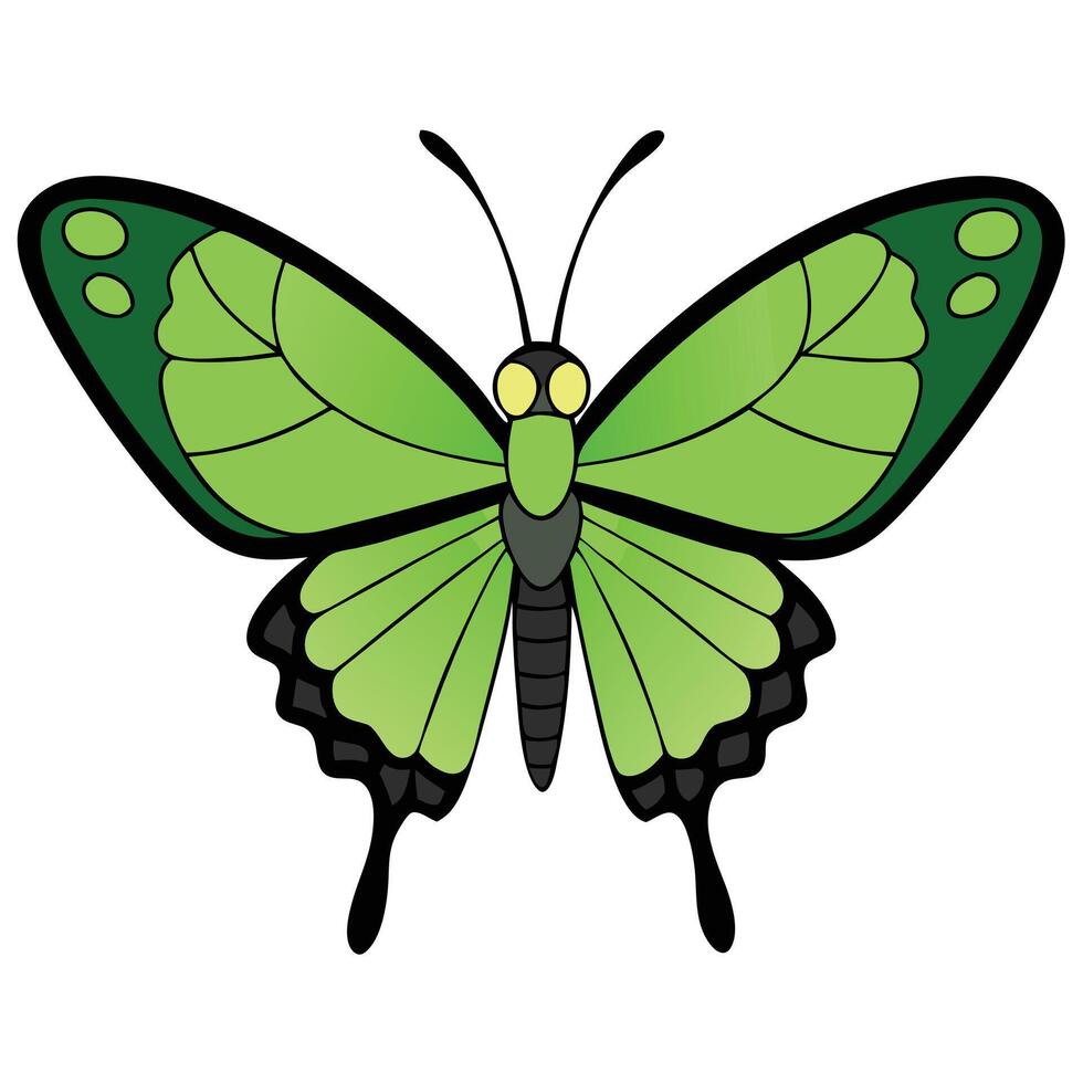 Colorful Butterfly Design vector