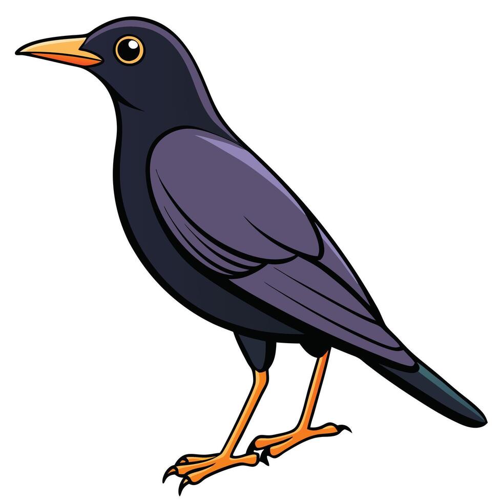 A cartoon black bird with orange beak vector