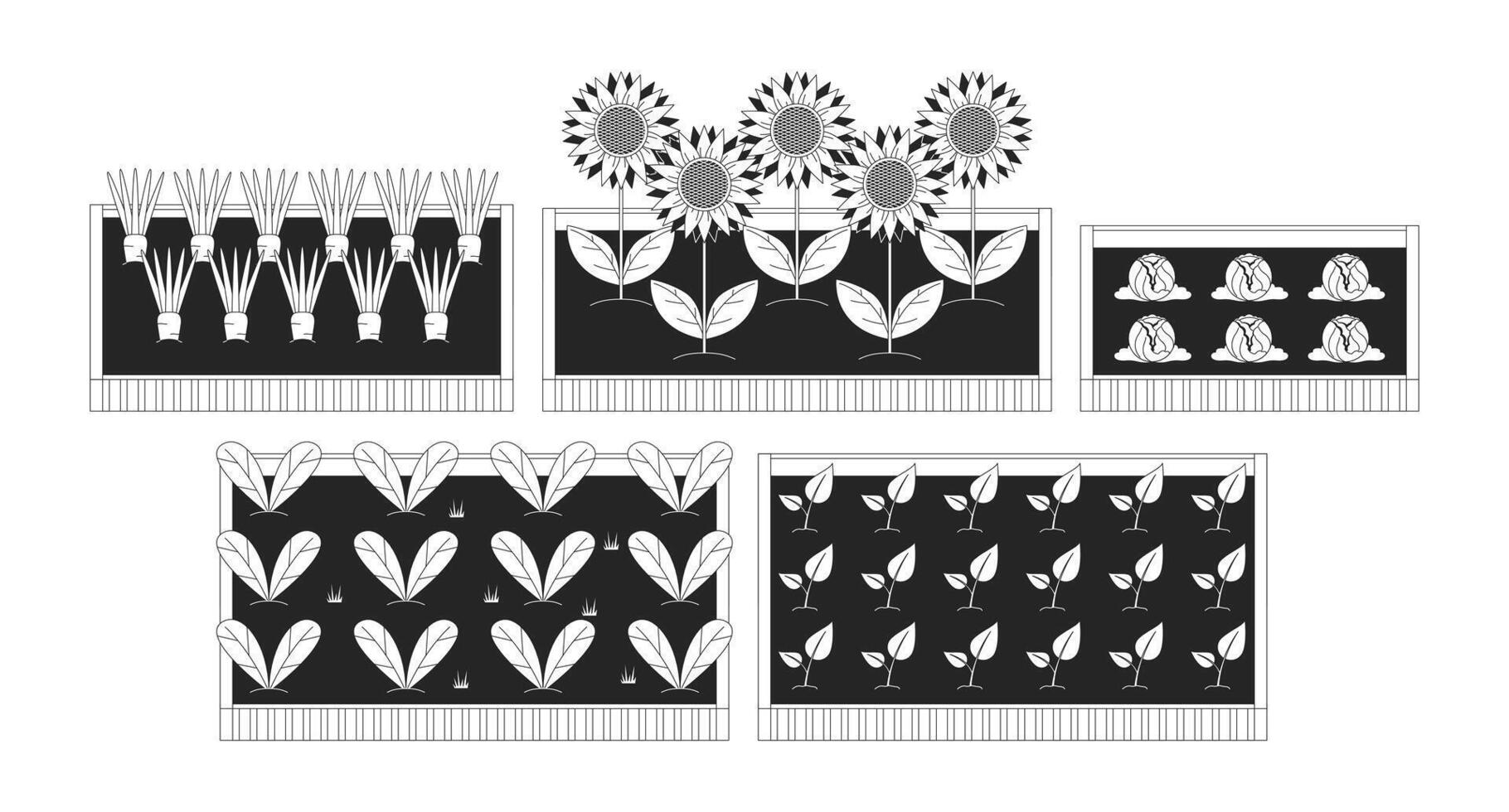 Raised garden beds with vegetables and sunflowers 2D line objects set. Organic farming, sustainable agriculture isolated cliparts ink outline items. Monochrome spot illustrations collection vector
