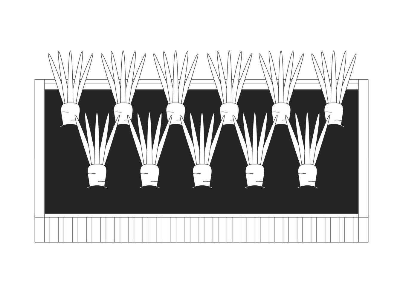 Raised garden bed with growing carrots in soil 2D line object. Home gardening. Organic farming. Fresh vegetables cultivation isolated clipart ink outline item. Monochrome spot illustration vector
