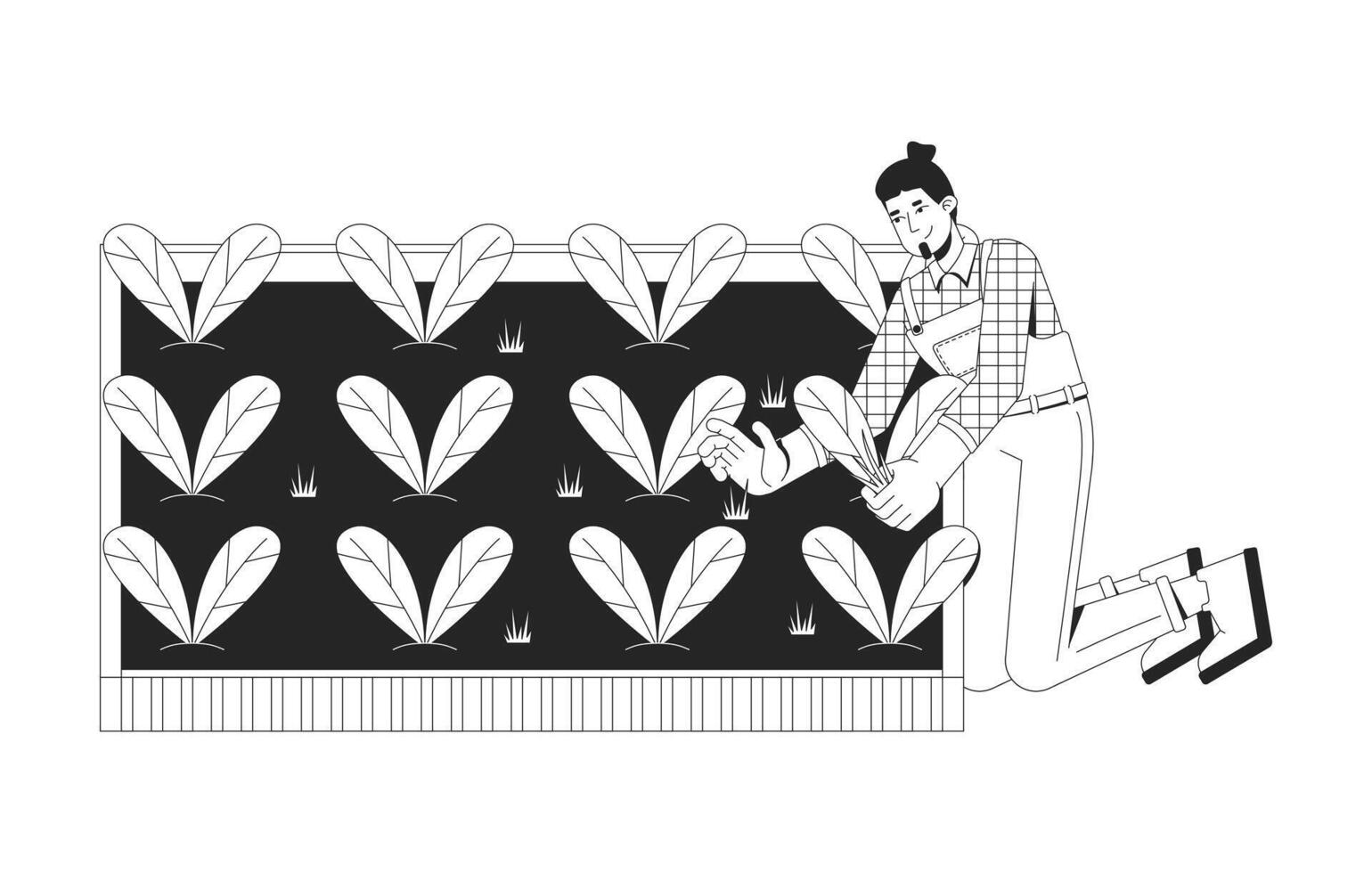 Caucasian male farmer harvesting fresh spinach leaves 2D line character. Man in overalls and plaid shirt by raised garden bed isolated ink outline person. Monochromatic spot illustration vector