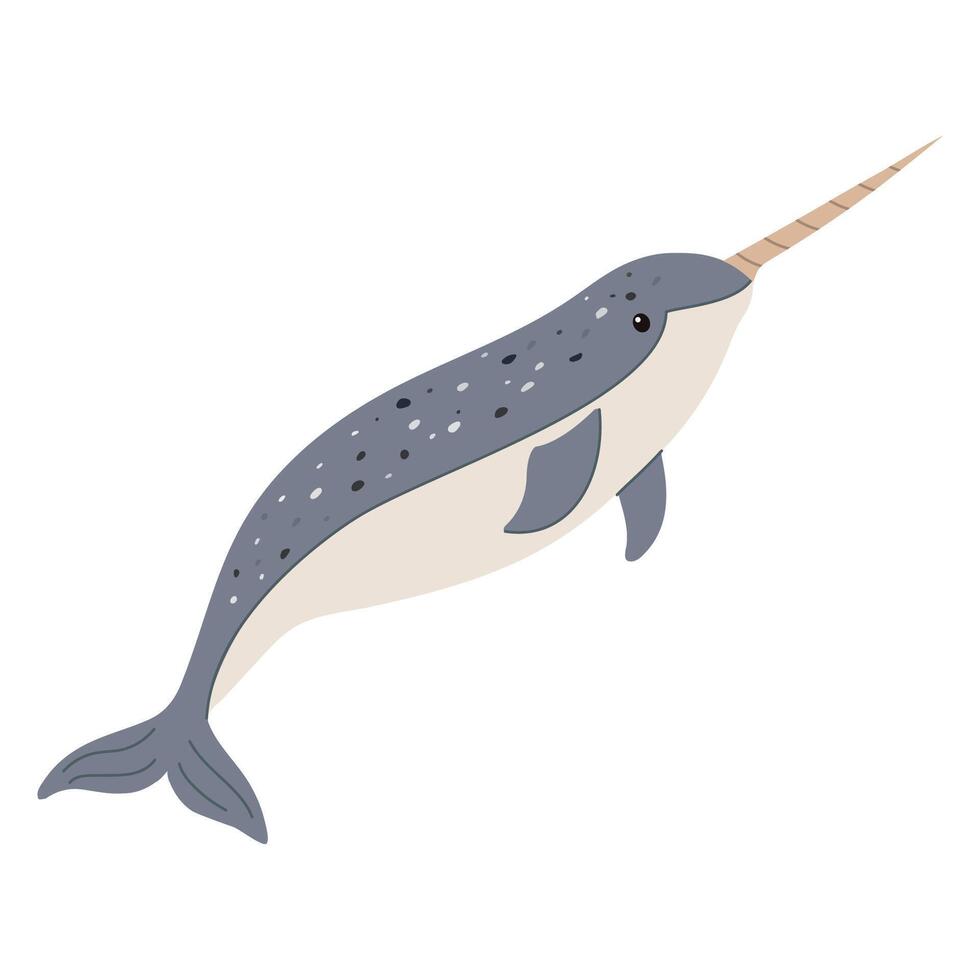 illustration of a narwhal isolated on a white background.Polar marine animals vector