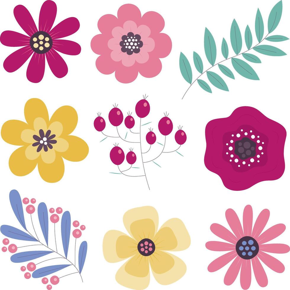 a collection of flowers and leaves on a white background vector
