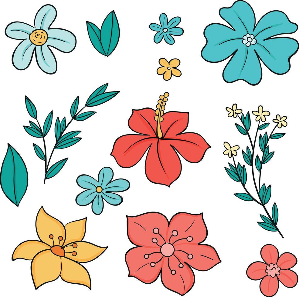 a set of flowers and leaves on a white background vector