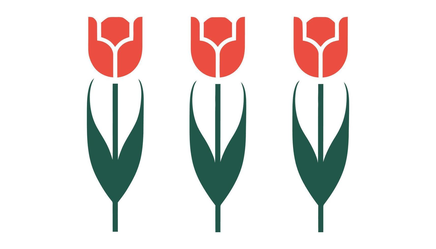 Modern Floral Illustration with Tulips vector
