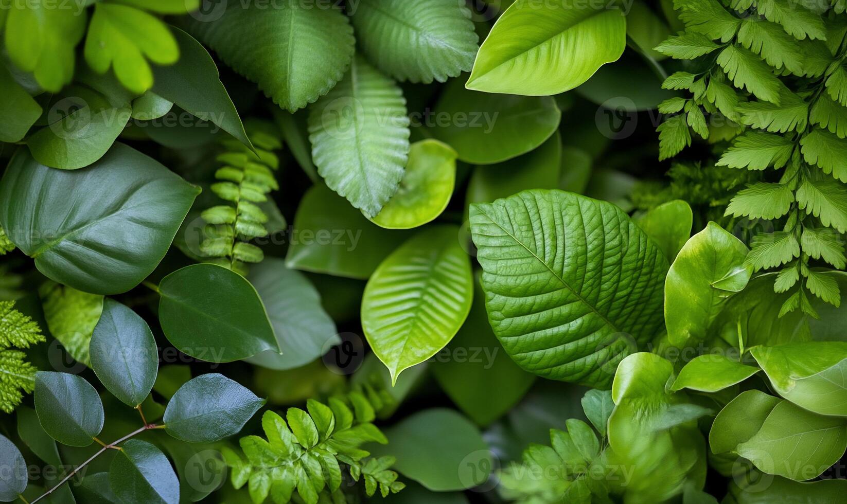 Lush green foliage background with various leaf types. photo