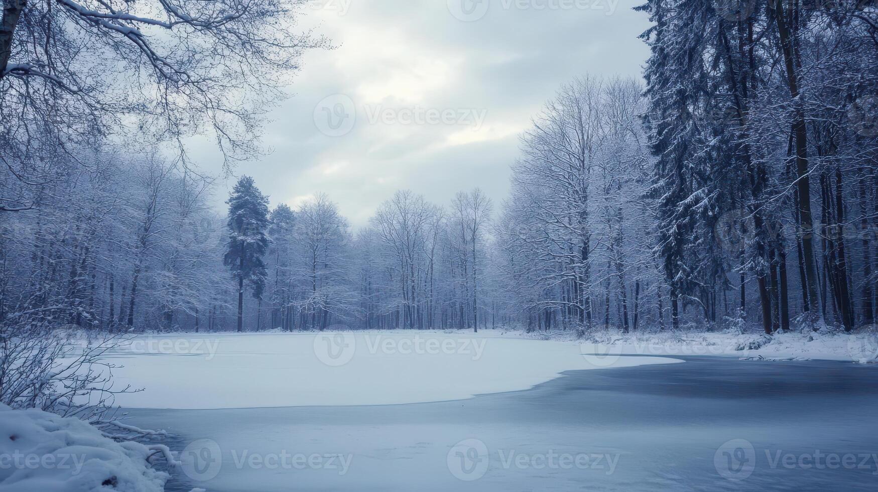 A serene winter landscape with snow-covered trees and a frozen lake under a cloudy sky photo