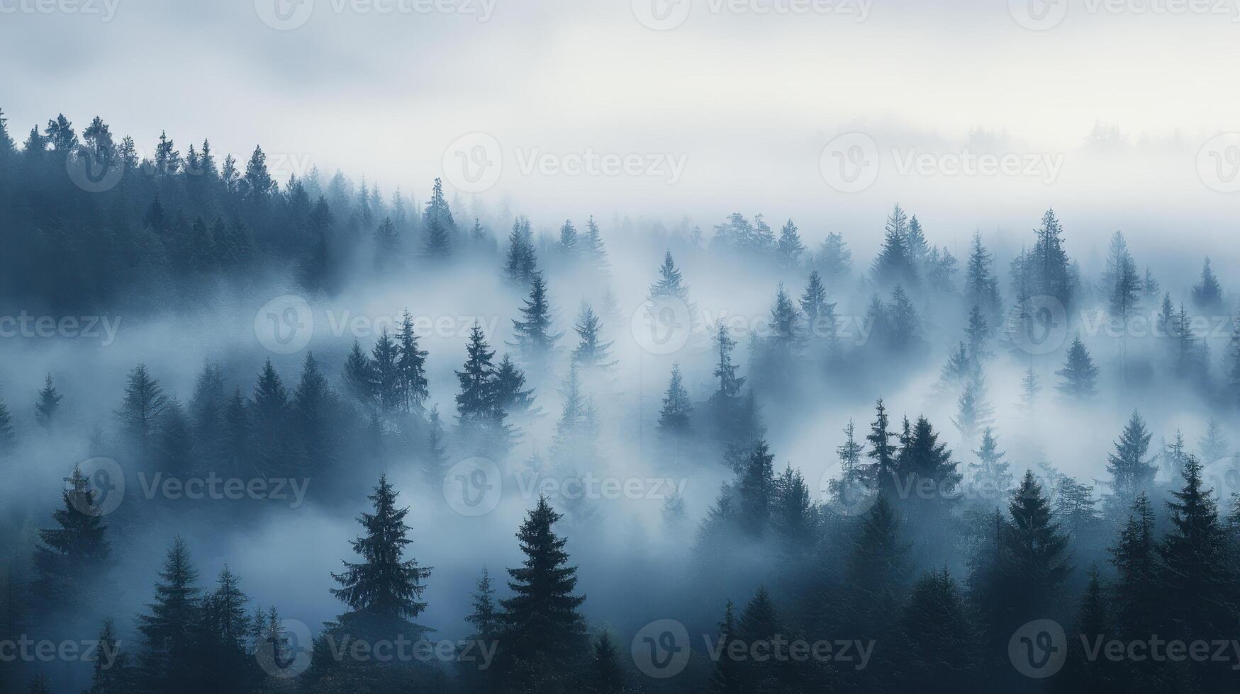 A misty forest landscape shrouded in fog, creating a serene and mysterious atmosphere photo