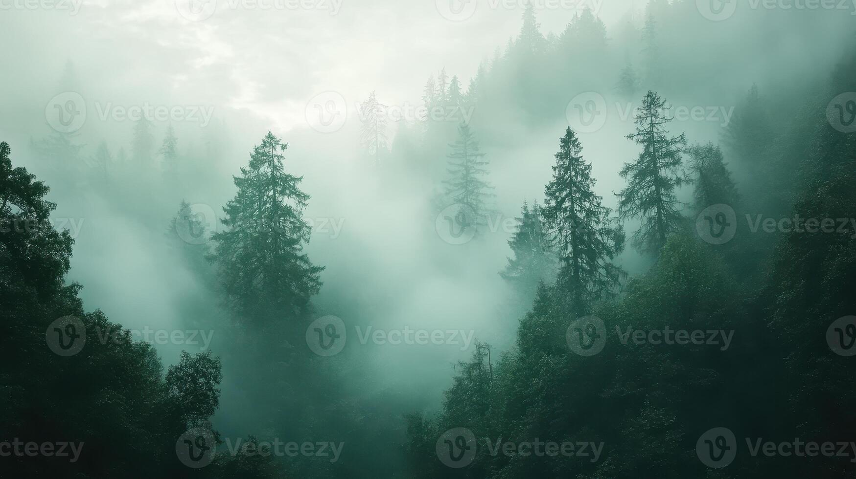 A misty forest landscape with tall trees shrouded in fog, creating a serene atmosphere photo