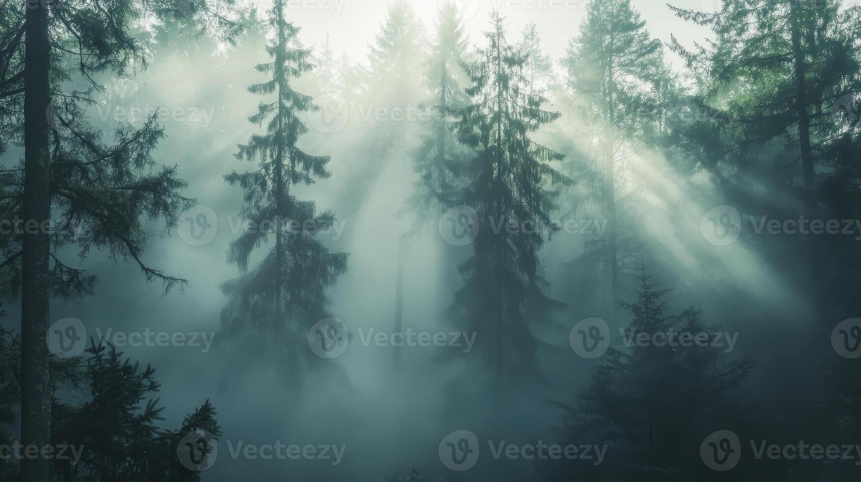 A misty forest scene with sunlight filtering through tall trees photo