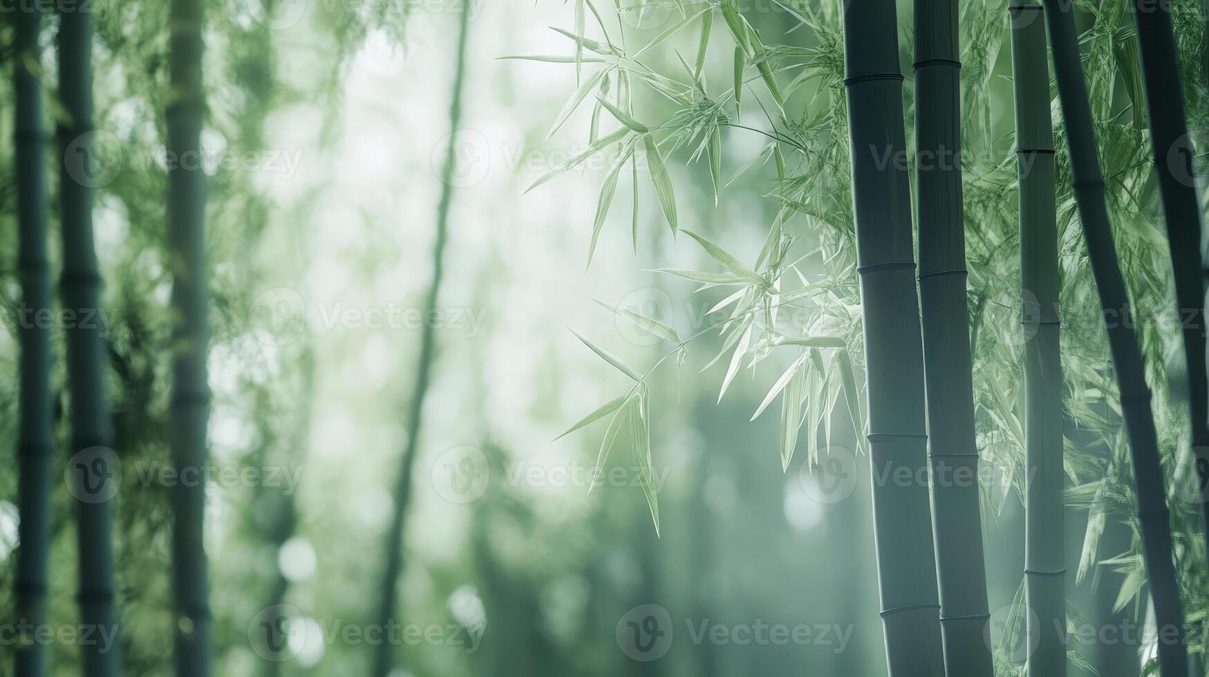 A serene bamboo forest with soft light filtering through the leaves, creating a tranquil atmosphere photo
