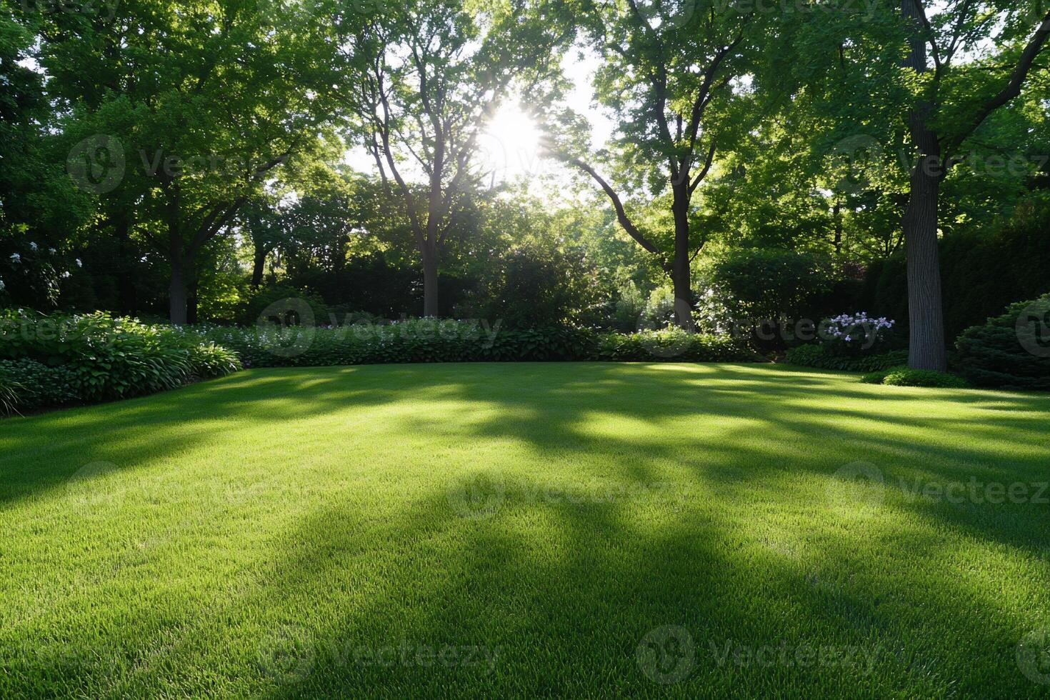 Sunny garden lawn shadows photo