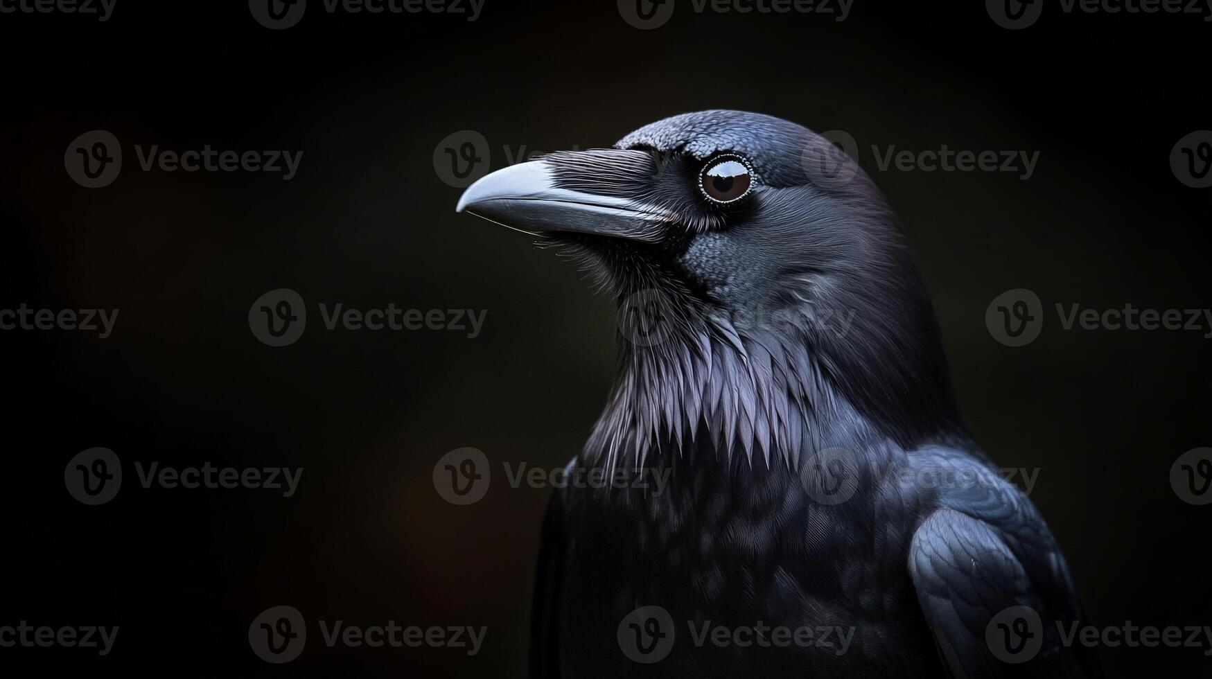 Raven Portrait in Dark Forest photo
