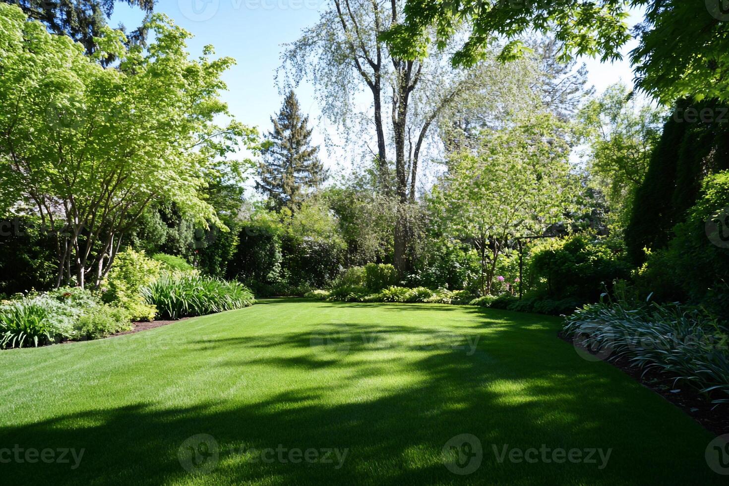 Lush garden lawn, sunlit trees, backyard tranquility photo