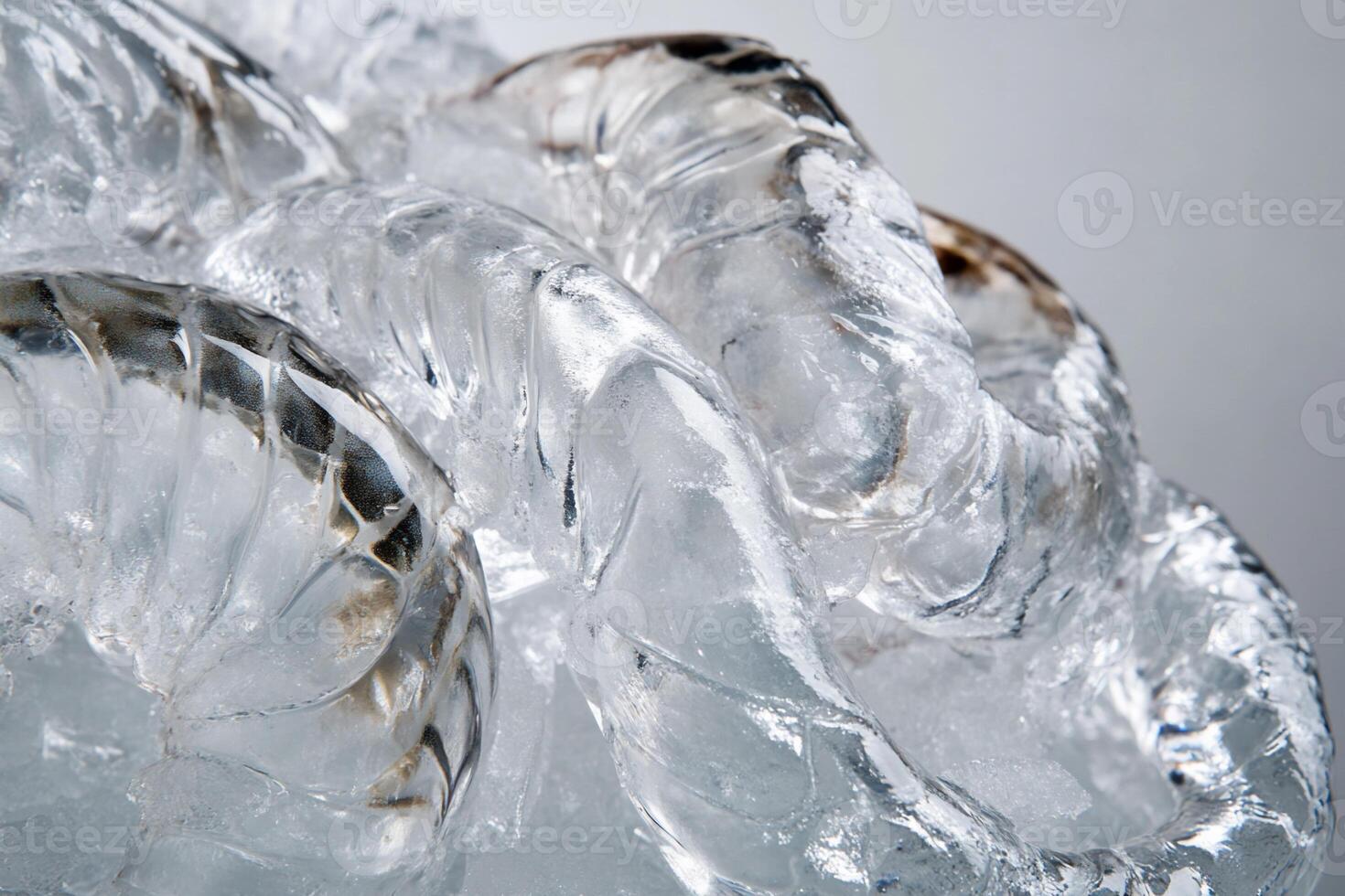 Abstract ice sculpture close-up photo
