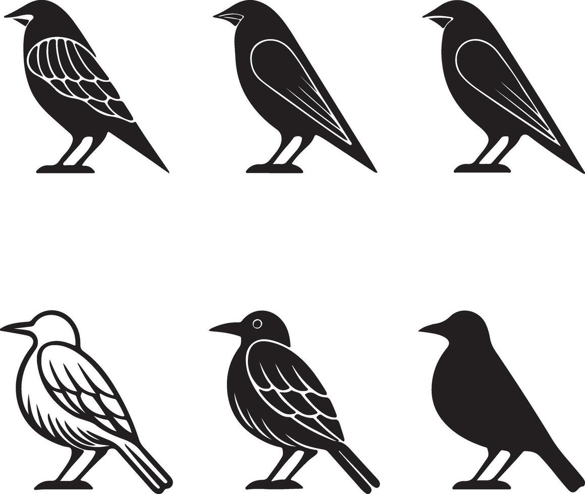 6 bird Different Style Set Silhouette vector