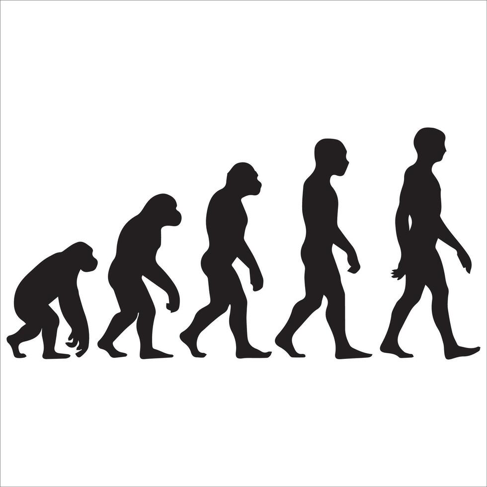 Silhouette Depiction of Evolution vector