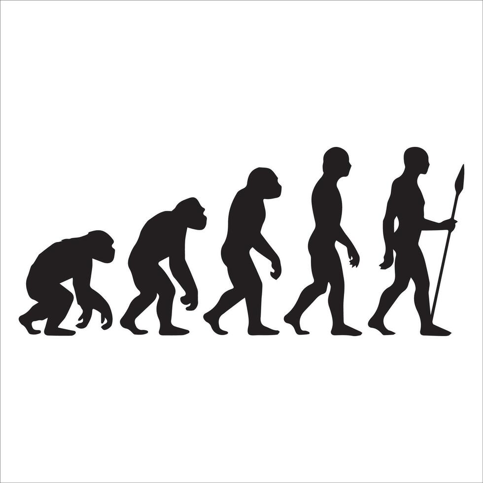 The Evolutionary Silhouette vector