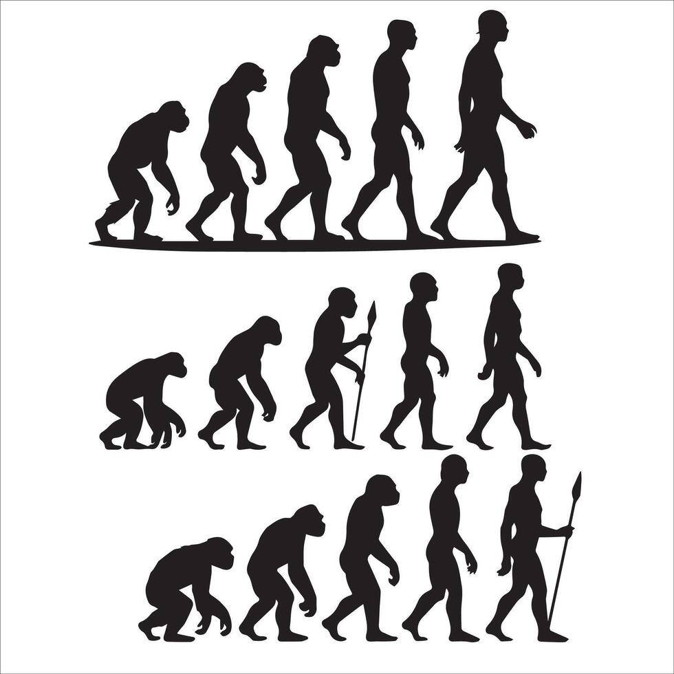 Silhouette of Human Evolution vector