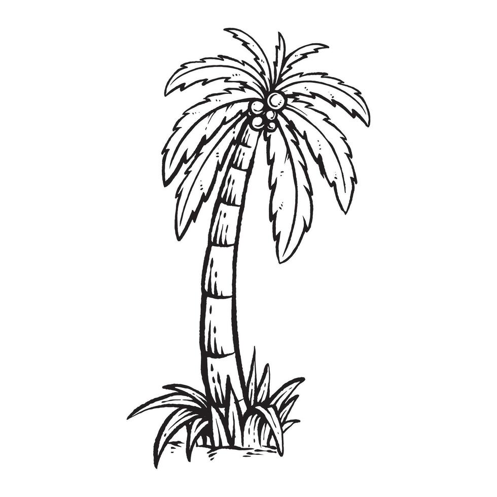 Vintage Palm Tree Illustration for Retro Designs vector