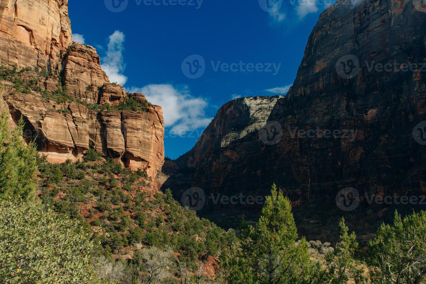 Zion National Park is an American national park , photo