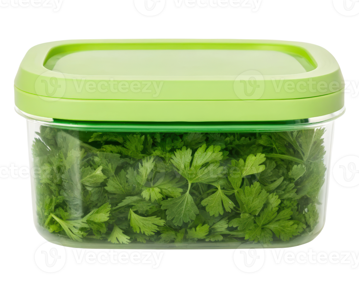 Fresh Parsley Leaves in Airtight Green Container on a transparent background png