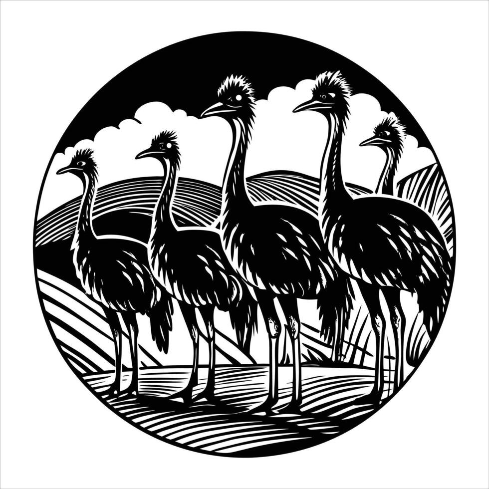 Silhouette of Cassowary filled vector