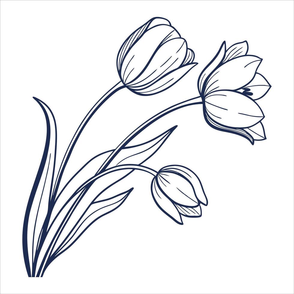 Elegant Tulip Flowers in Minimalist vector