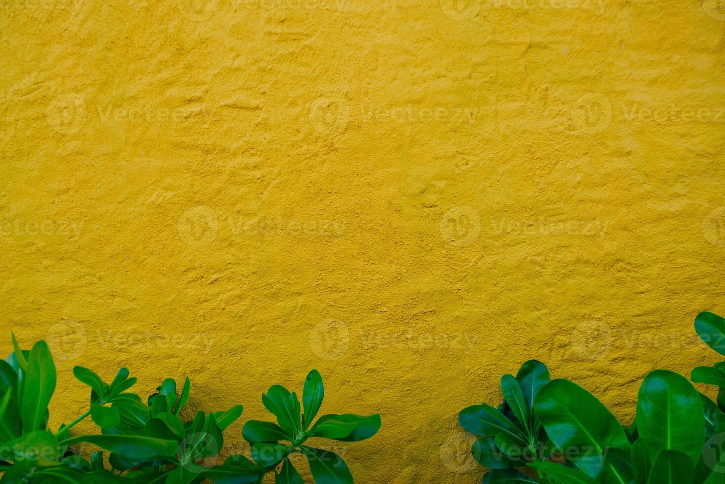Golden yellow seamless venetian plaster background grunge stone texture with grass underneath, photo