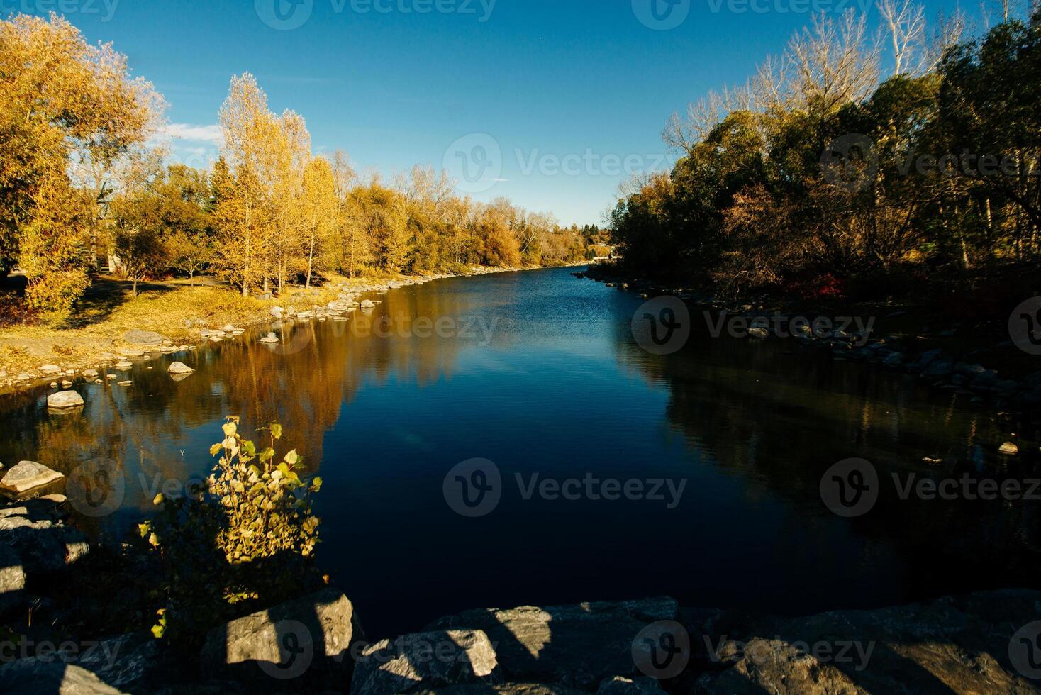 Bow river by downtown Calgary in the summertime. photo