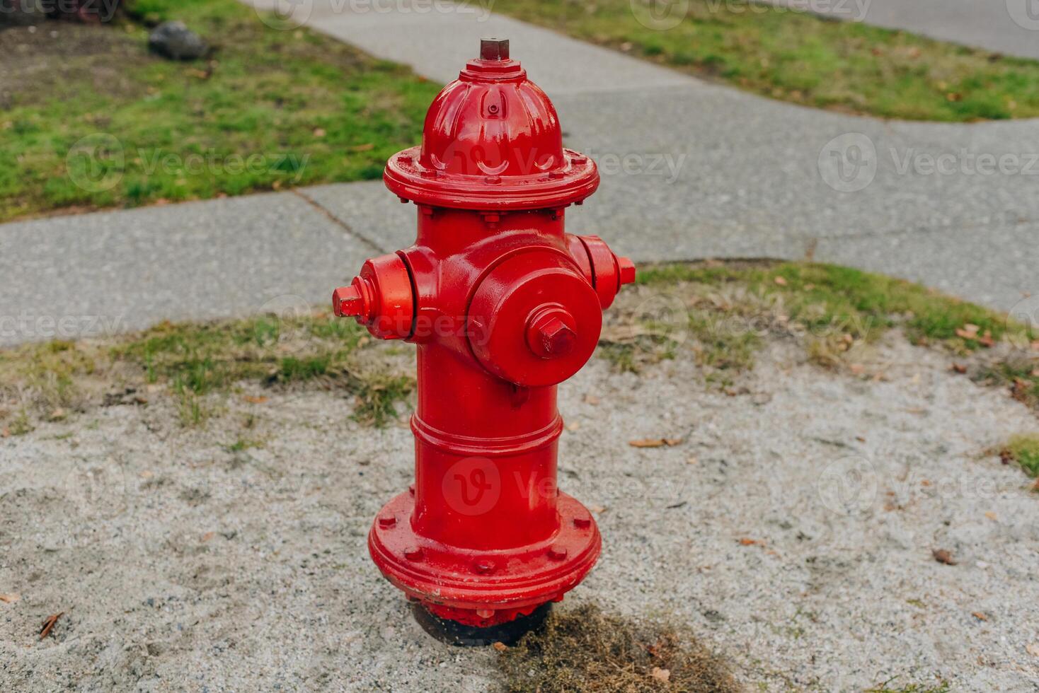 Red hydrant fire detail prevention system with green out of focus wood in background. photo