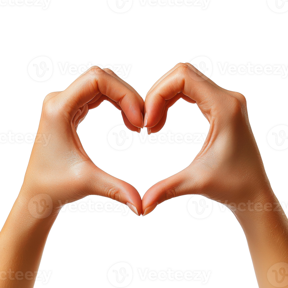 Hands Forming Heart Shape on Transparent Background png