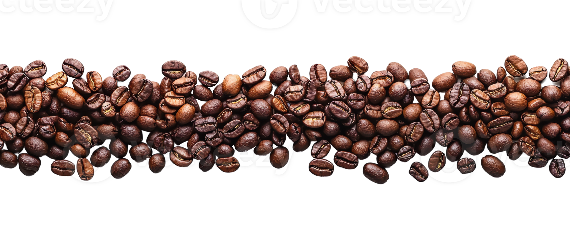 Coffee Beans Horizontal Border on Transparent Background png