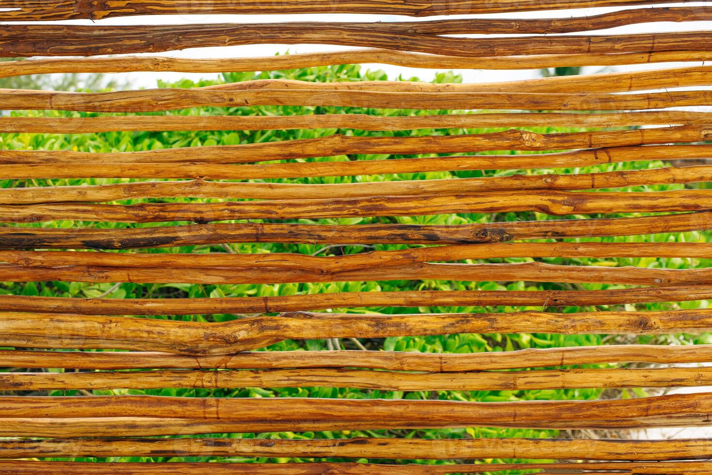 Pine stick texture. Wooden background of pines for design, photo